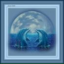 Фотография Антоненко Анны