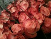 Фотография Аппалоновой Алёны