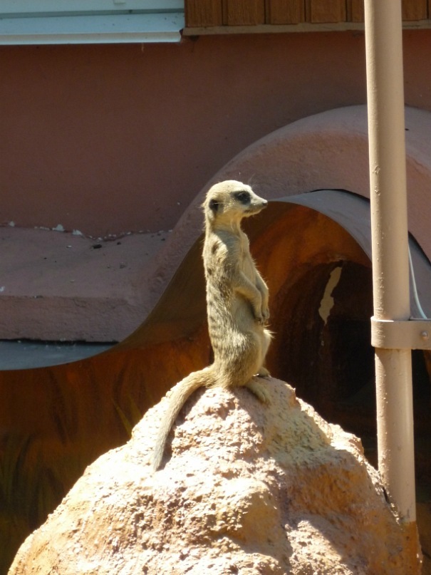 Катерина Латнер фотография #24