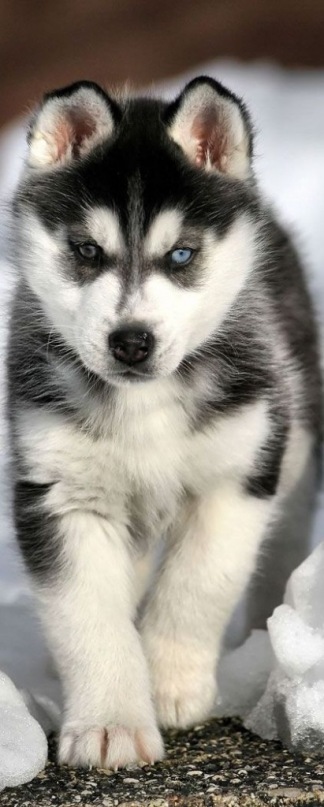 Макс Прилипко фотография #12