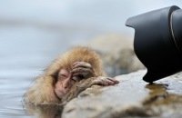 Фотография Грековой Ксении