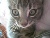 Фотография Джафаровой Гюльнары