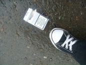 Фотография Рочевой Елены