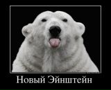 Фотография Степаненко Игоря