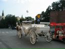 Андрій Тебінка фотография #45 (источник - https://vk.com/id87679912)