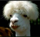 Фотография Макарычева Владимира