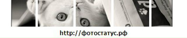 Уляна Гапук фотография #36 (источник - https://vk.com/id6604501)