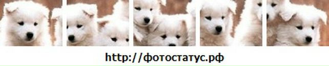 Зінуля Давидюк фотография #30 (источник - https://vk.com/id80303511)