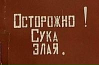 Фотография Александровны Наталии