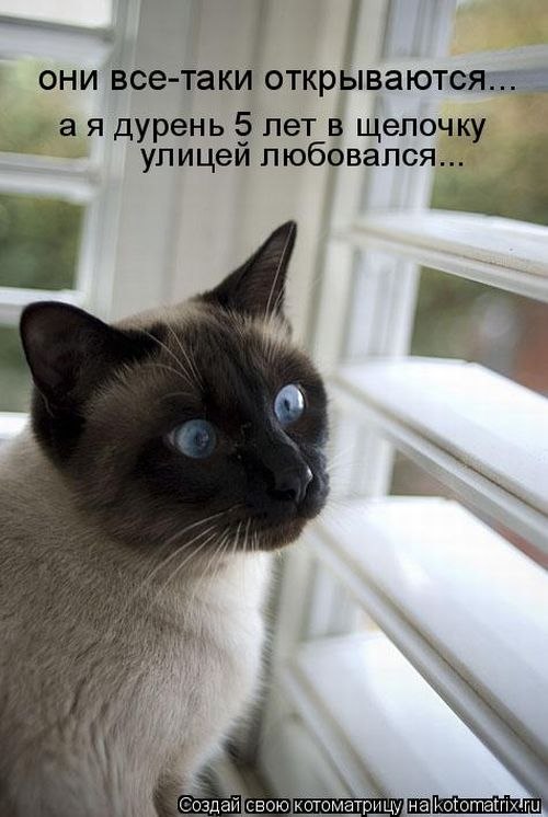 Дмитрий Юрьев фотография #40