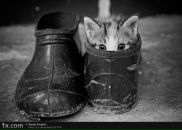 Катя Катіна фотография #45 (источник - https://vk.com/id9392131)