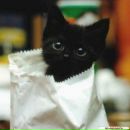 Фотография Кушнаревой Светланы