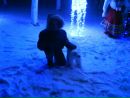 Любчик Гіджеліцький фотография #25 (источник - https://vk.com/id153156986)