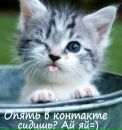 Вікусічка Мелешко фотография #44 (источник - https://vk.com/id165466550)