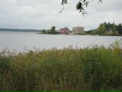 Фотография Тарханова Антона