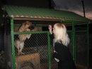 Ірина Ірина фотография #36 (источник - https://vk.com/id31038684)
