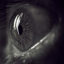 Mustafa Bengi фотография #6 (источник - https://vk.com/id18347388)