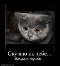 Фотография Имаева Ильдара