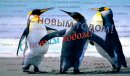 Александр Ермаков фотография #12 (источник - https://vk.com/id1757339)