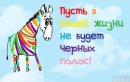 Вероника Темнышева фотография #25 (источник - https://vk.com/id31731479)