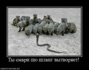 Ілля Архіпчук фотография #34 (источник - https://vk.com/id203667655)