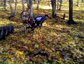 Фотография Дурасова Олега