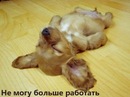 Фотография Мезенцевой Анастасии