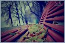 Аліна Кречко фотография #5 (источник - https://vk.com/id217030732)
