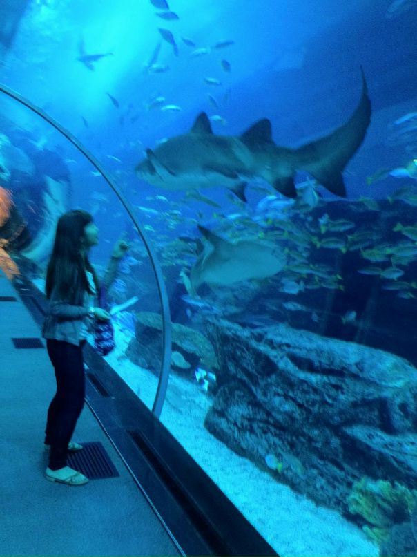 Marina Kim фотография #32