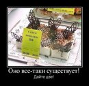 Дима Вегера фотография #46 (источник - https://vk.com/id27534833)