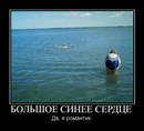 Дима Вегера фотография #48 (источник - https://vk.com/id27534833)