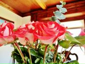 Ліда Omeltchouk фотография #50 (источник - https://vk.com/id19173680)