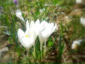 Мария Лунд фотография #11 (источник - https://vk.com/id1197437)