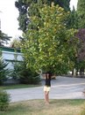 Каріна Залужна фотография #37 (источник - https://vk.com/id154401804)