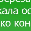 Володимир Зуєв фотография #20 (источник - https://vk.com/id87532339)
