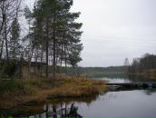 Фотография Саркисова Настя