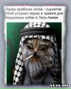 Сніжанка Петрова фотография #4 (источник - https://vk.com/id160486071)