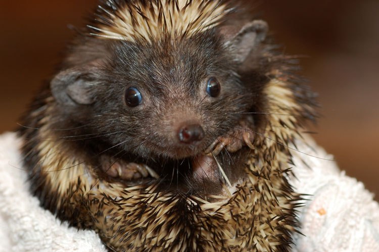 Дмитрий Ионов фотография #29