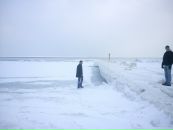 Міша Лозовський фотография #36 (источник - https://vk.com/id135451773)