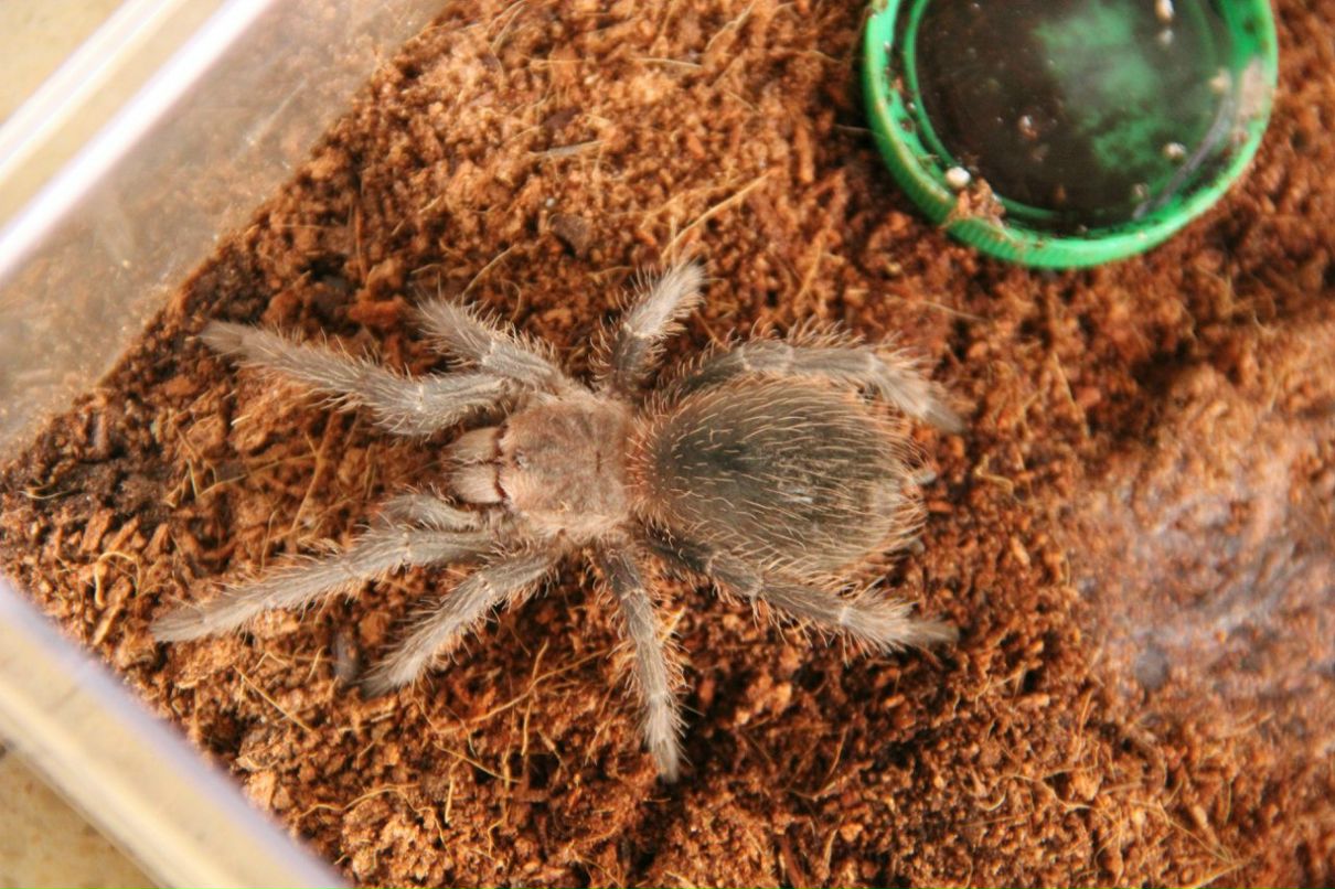 Женя Татировский фотография #14