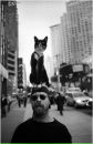 Фотография Феоктистовой Екатерины