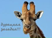 Фотография Безрядин Александр