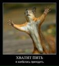 Іван Онисько фотография #30 (источник - https://vk.com/id138257997)