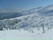 Надя Білоус фотография #29 (источник - https://vk.com/id16692564)