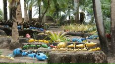 Анна Матвеенко фотография #17 (источник - https://vk.com/id982526)