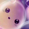 Евеліна Теліжин фотография #18 (источник - https://vk.com/id159901315)