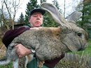 Фотография Юрьевича Святослава