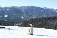 Світланка Задранівська фотография #27 (источник - https://vk.com/id2944643)