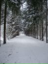 Вікуся Максимчук фотография #50 (источник - https://vk.com/id33830530)