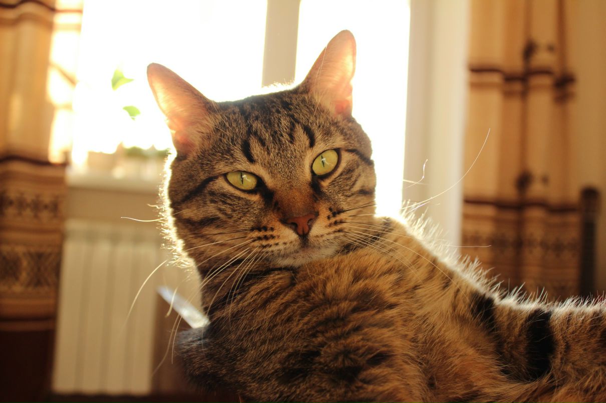 Антон Драницын фотография #25